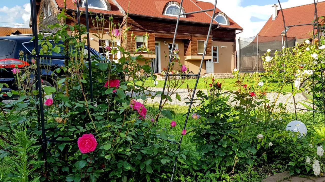 Lend Apartment Miercurea Ciuc Buitenkant foto